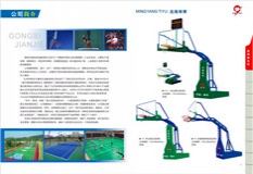 篮球架图片参数