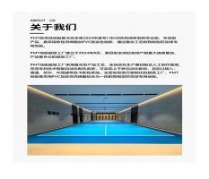 匹克球产品介绍